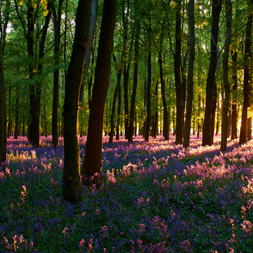 Marketing News: Spring 2024 Update